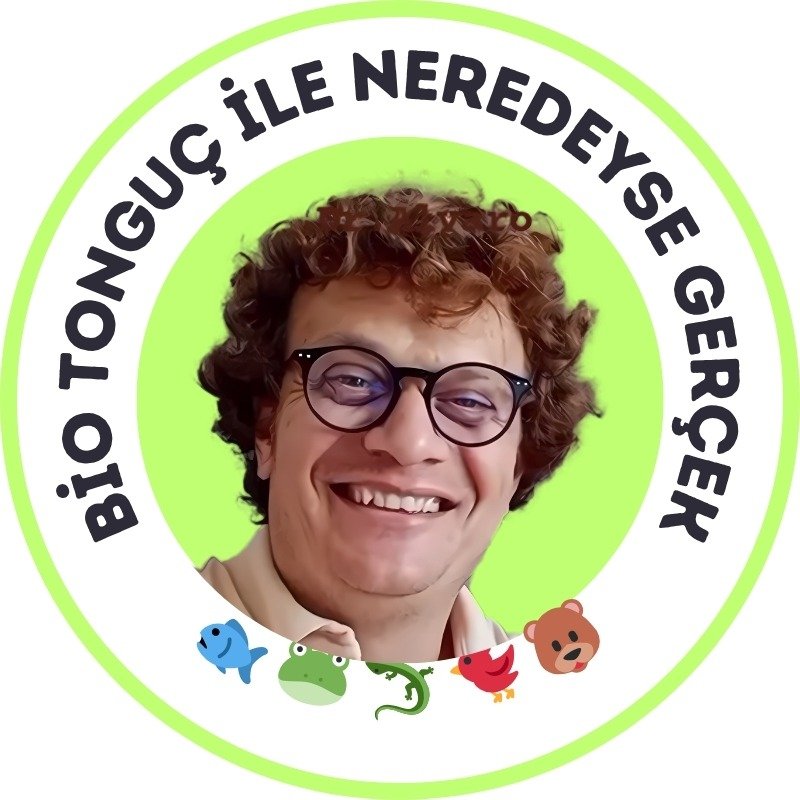 Bio Tonguç - Tonguç Gündüz